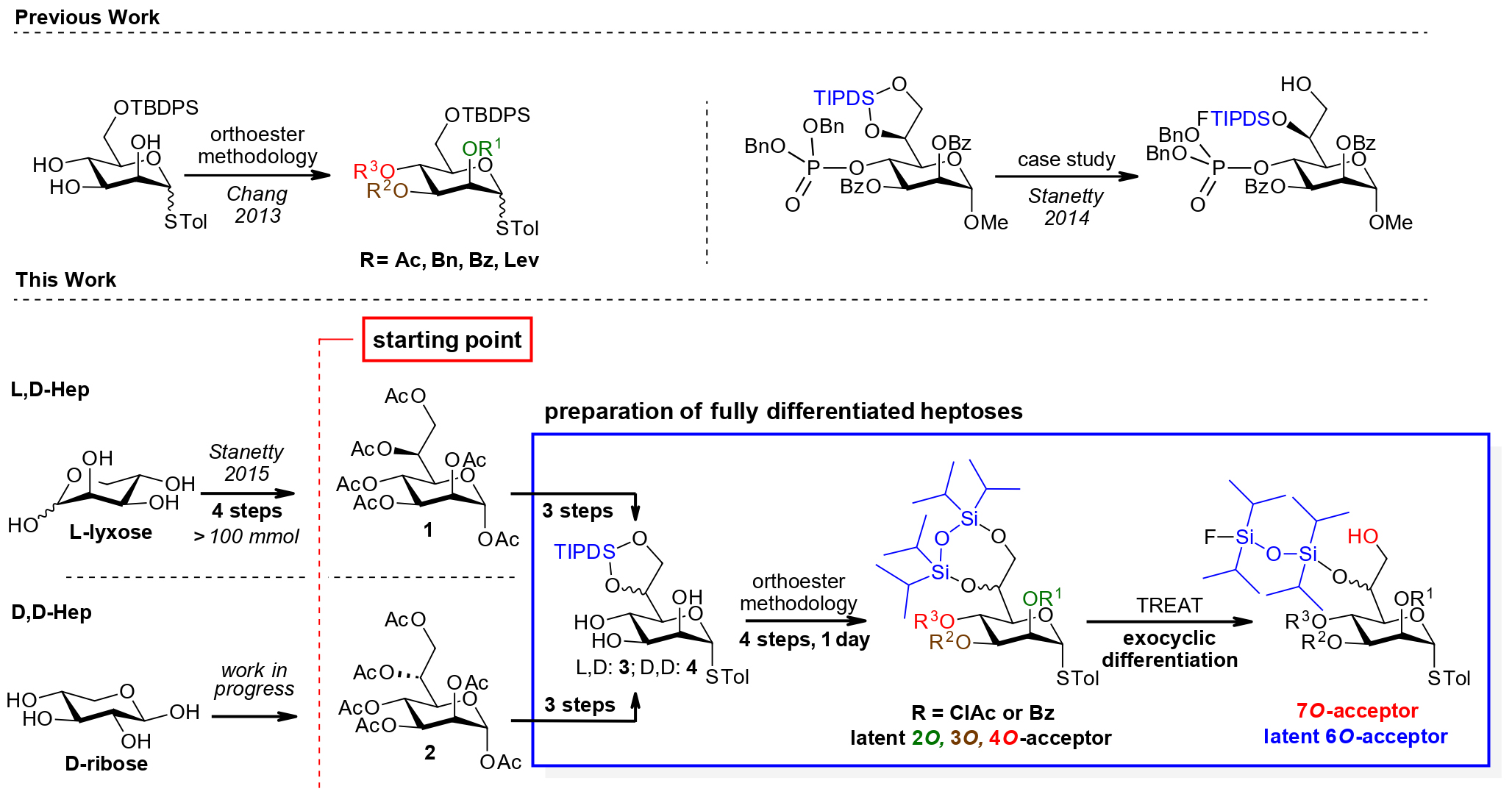 Straight Forward and Versatile Differentiation of the l-glycero and d-glycero-d-manno Heptose Scaffold